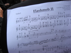 MCO Flashmob, Amsterdam (29/05/2011)