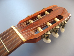 Picture of a guitar