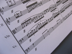 Score detail